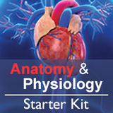Anatomy & Physiology Starter Kit