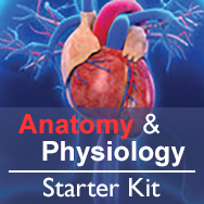 Anatomy & Physiology Starter Kit