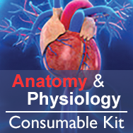 Anatomy & Physiology Consumables Kit