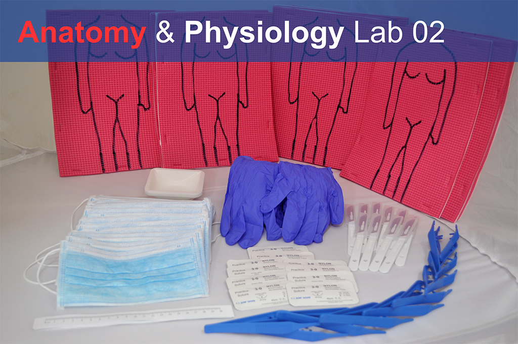 Anatomy and Physiology Starter Kit for student preparation.