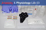 Anatomy & Physiology Starter Kit