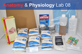 Anatomy & Physiology Starter Kit