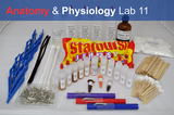 Anatomy & Physiology Starter Kit