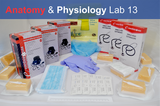 Anatomy & Physiology Starter Kit