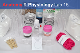 Anatomy & Physiology Starter Kit
