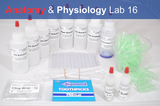 Anatomy & Physiology Starter Kit