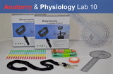 Anatomy & Physiology Starter Kit